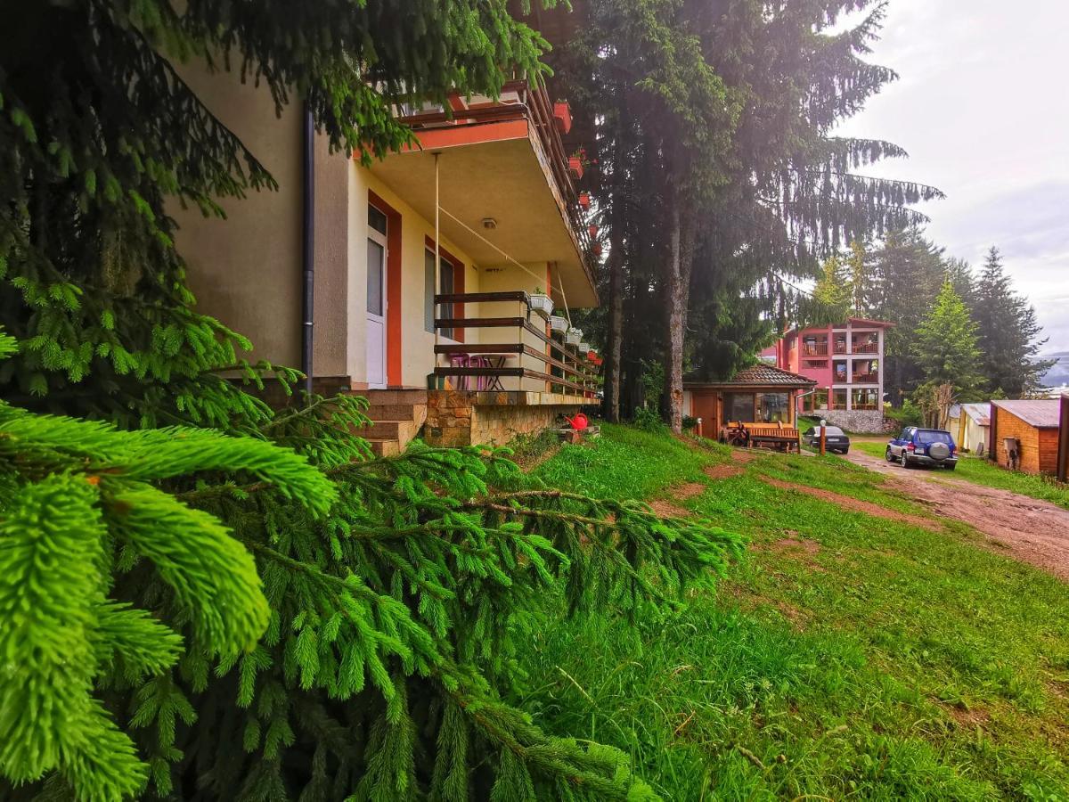 Orlino Holiday Park 瑟尔尼察 外观 照片
